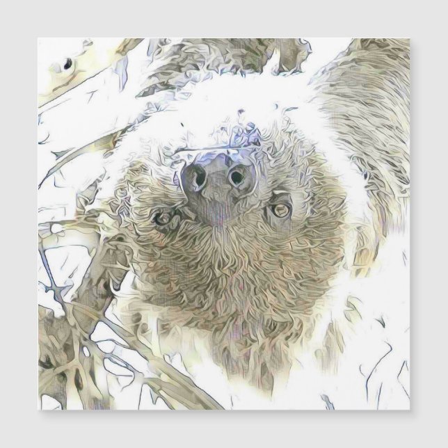 fascinating altered animals - Sloth (Front)