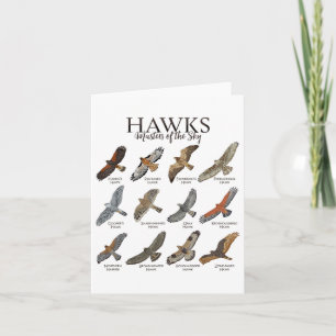 Fascinating Birds Of Prey - Types Of Hawks  Card