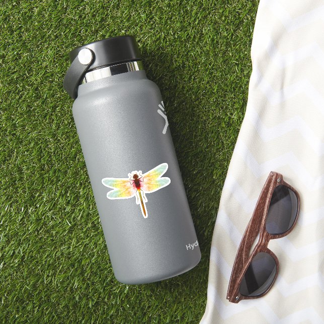 fascinating iridescent drawing of a dragonfly (HydroFlask Insitu)