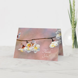 Fascinating Japanese Apricot Flowers Thank You Card