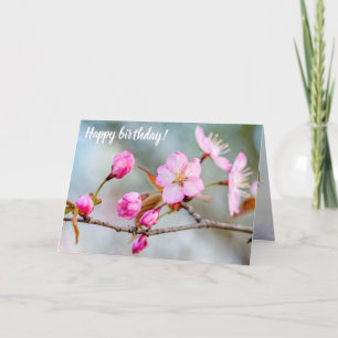 Fascination Of Sakura Flowers In Spring Garden Card
