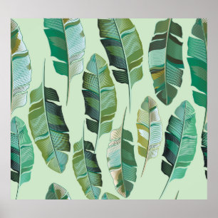 Fashionable Banana Plants Tropical Illustration Poster