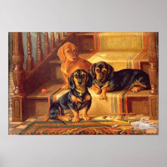 Fashionable Refinities Poster (Front)