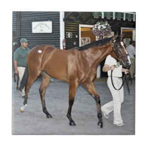 Fasig Tipton Select Sales at Saratoga Tile
