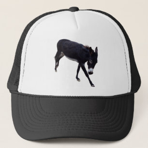 Fast A** Hat