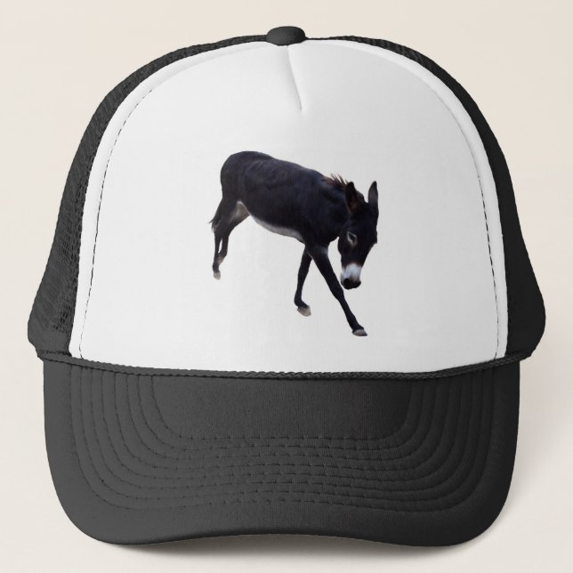Fast A** Hat (Front)