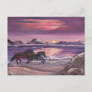 Fast and Fury post CardP Postcard