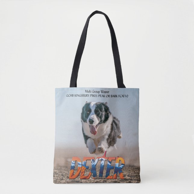 Fast Cat Fun Tote Bag (Front)