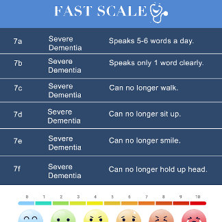 FAST Dementia Scale / Hospice Cheats ID Badge