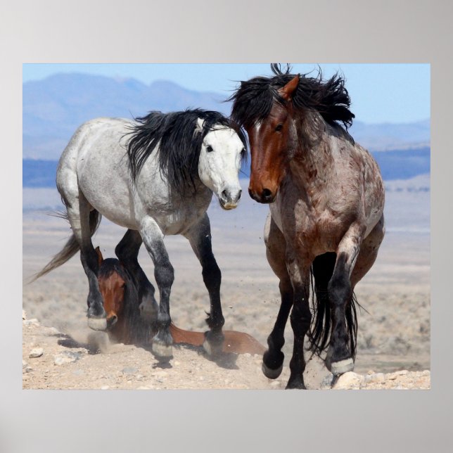 Fast & Furious Poster (Front)