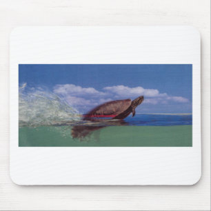 fast turtle mouse pad
