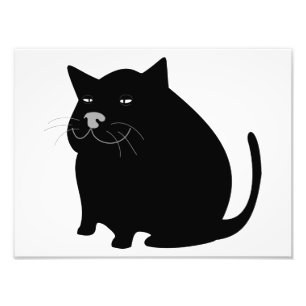 Fat Black Cat Photo Print