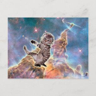 Fat cat astronaut postcard