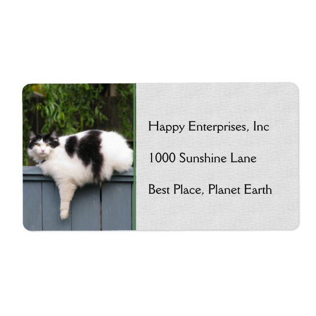 Fat Cat On Fence (Front)