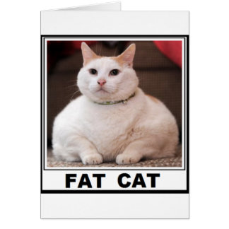 FAT CAT SMILE