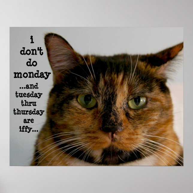 Fat Cat with Attitude, "i don't do monday" Poster (Front)