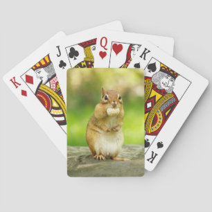 Fat Chipmunk with Treat Playing Cards