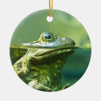 Fat Frog Ceramic Tree Decoration