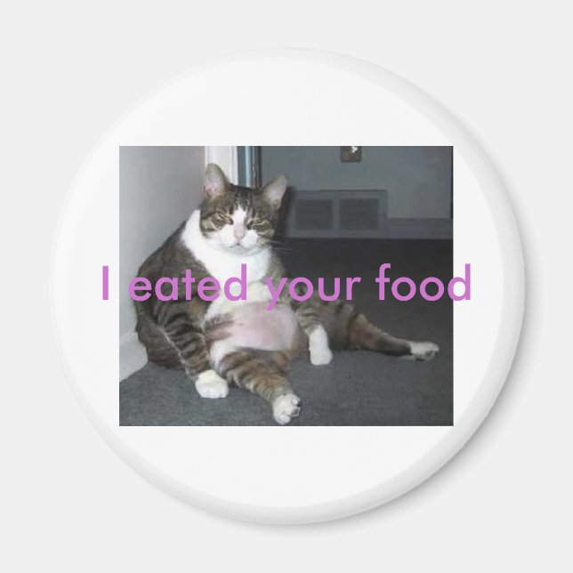 fat kitty magnet (Front)