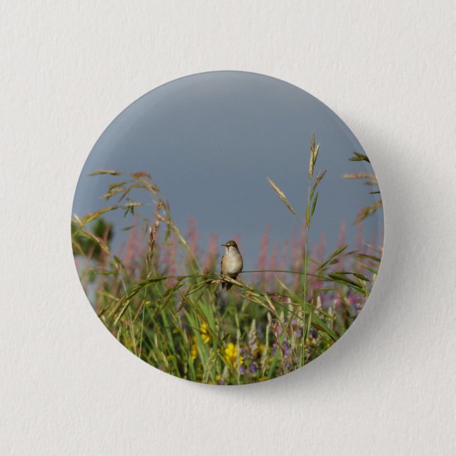 Fat little Hummingbird 6 Cm Round Badge (Front)