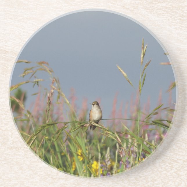 Fat little Hummingbird Coaster (Front)