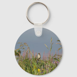 Fat little Hummingbird Key Ring
