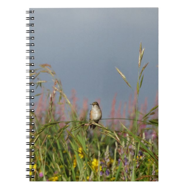 Fat little Hummingbird Spiral Notebook (Front)