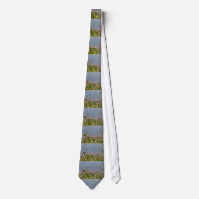 Fat little Hummingbird Tie (Front)