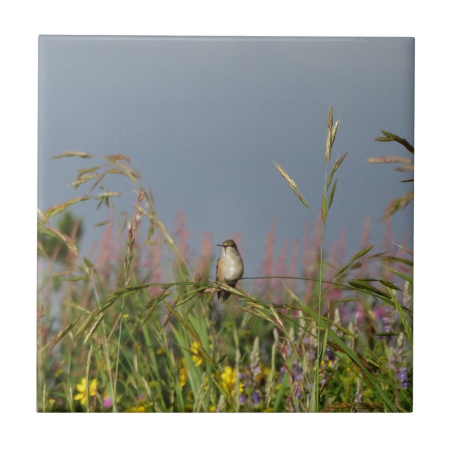 Fat little Hummingbird Tile (Front)