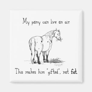 Fat Pony Magnet