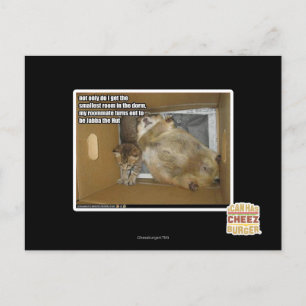 Fat roommate postcard