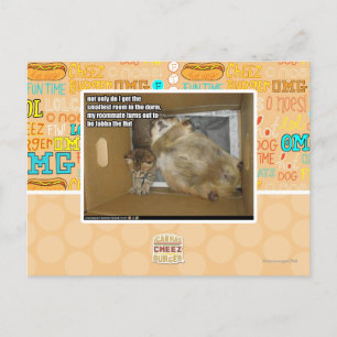 Fat roommate postcard
