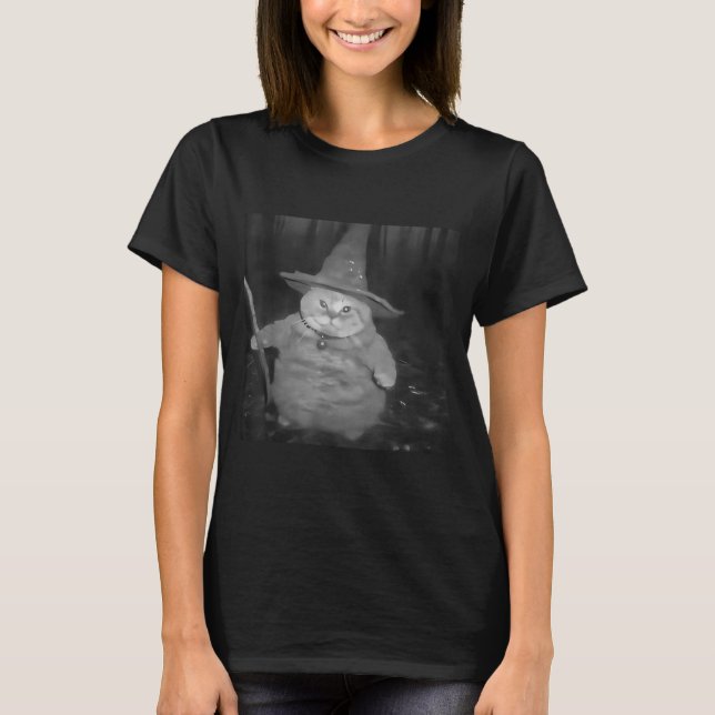 Fat Wizard Cat Fat Kitten Wizard Funny Cat Meme Br T-Shirt (Front)