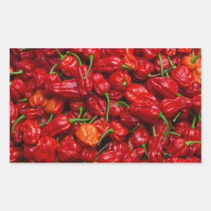 Fatalii's Chile Peppers 2 Rectangular Sticker