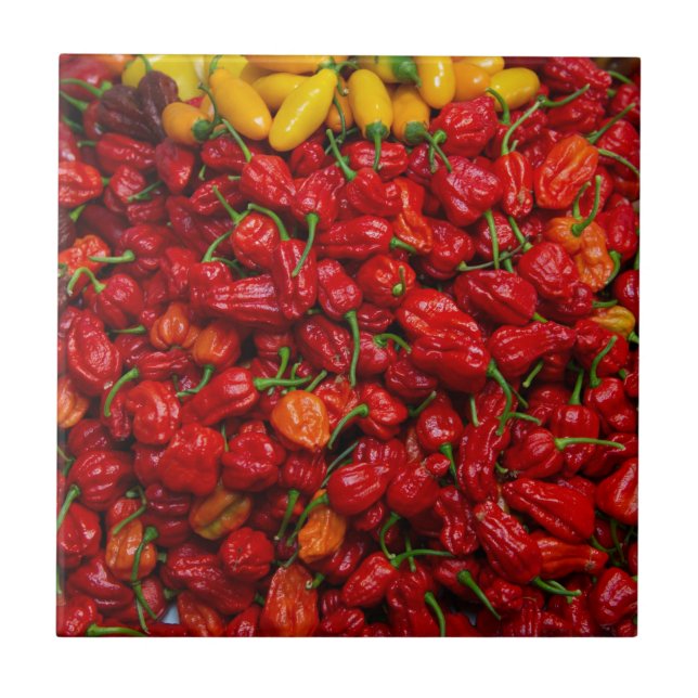 Fatalii's Chile Peppers 2 Tile (Front)