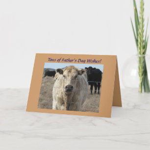 Father's Day Cattle - Ranch or Farm Card