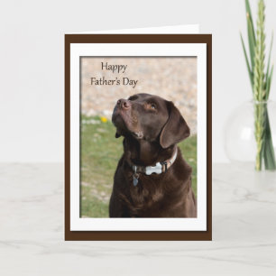 Father's Day Chocolate Brown Labrador Dog Card