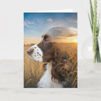Father's Day English Springer Spaniel and Pheasant