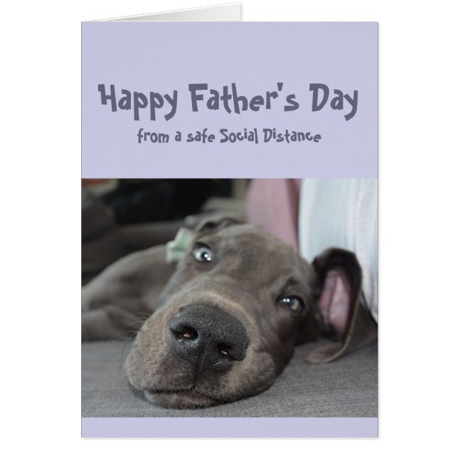 Father's Day Fun Social Distancing Great Dane Dog (Front)