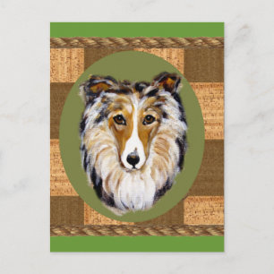 Fathers Day Pet Products Postcard