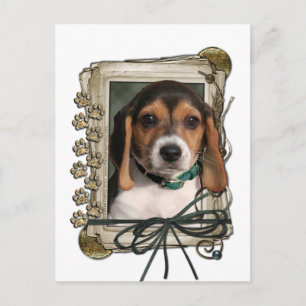 Fathers Day - Stone Paws - Beagle Puppy Postcard