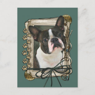 Fathers Day - Stone Paws - Boston Terrier Postcard