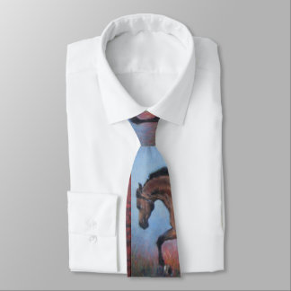 Father's Day Western Horse Pattern Neck Tie