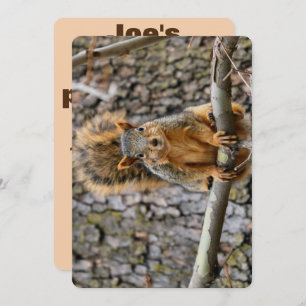 Faux fox squirrel invitation