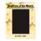Faux gold stars sparkle employee of the month 8x10