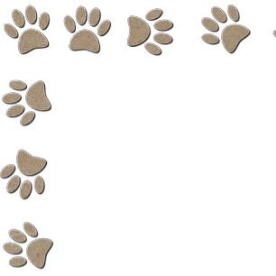 Faux Paper Texture Paw Prints Base For  Invitation
