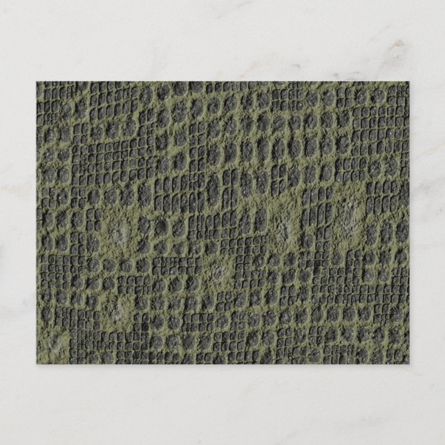Faux Snake Skin Postcard (Front)