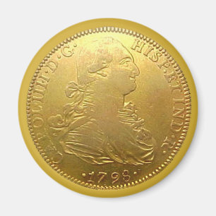 Faux Spanish Gold Doubloon Heads Magnet