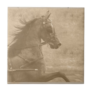 Faux Vintage Hackney Tile