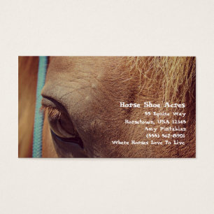 Faux Vintage Sorrel Horse